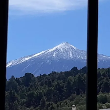 La Casa De Mami Ii *
